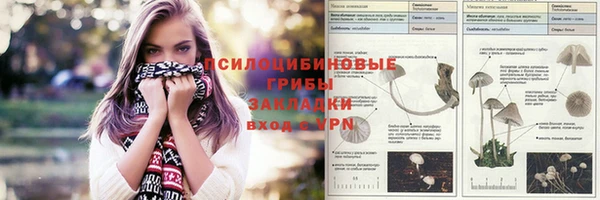 гашик Богородицк