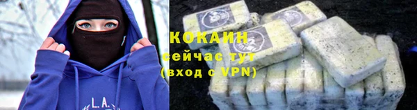 гашик Богородицк