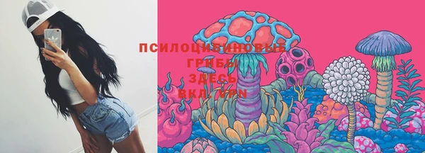 гашик Богородицк